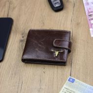 Hnědá pánská kožená peněženka RFID v krabičce WILD