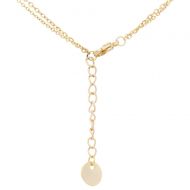 Zlatý dámský náhrdelník s lístečkem NP008